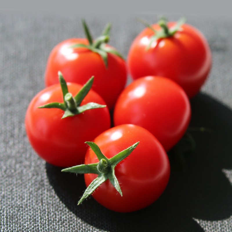 PP电子·(中国集团)最新官方网站