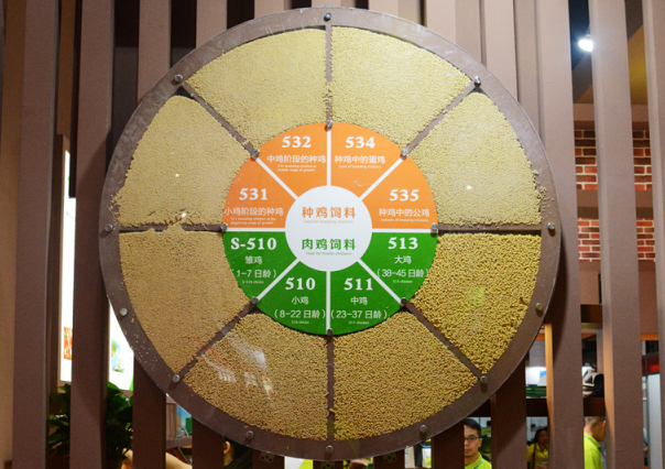 PP电子·(中国集团)最新官方网站