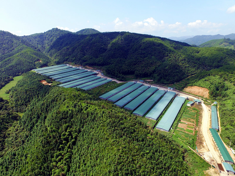 PP电子·(中国集团)最新官方网站