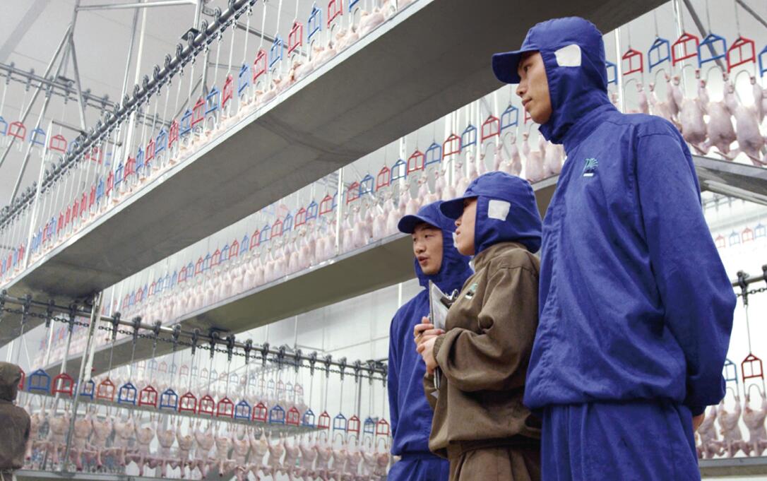 PP电子·(中国集团)最新官方网站