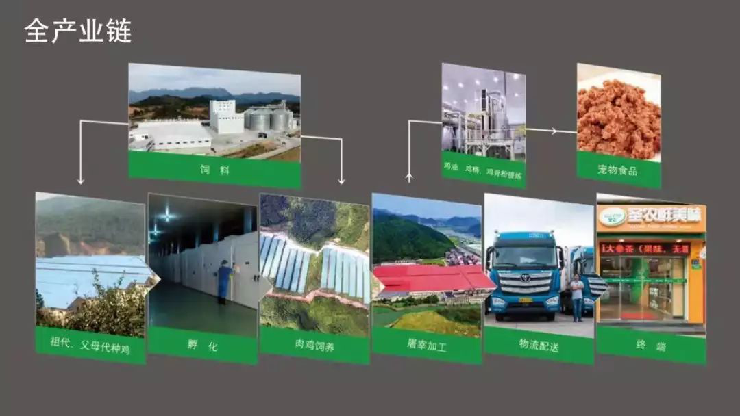 PP电子·(中国集团)最新官方网站