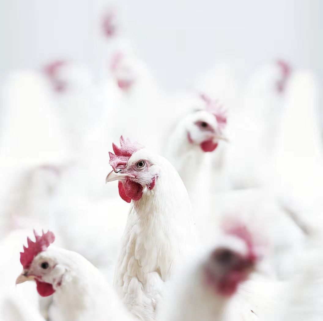 PP电子·(中国集团)最新官方网站