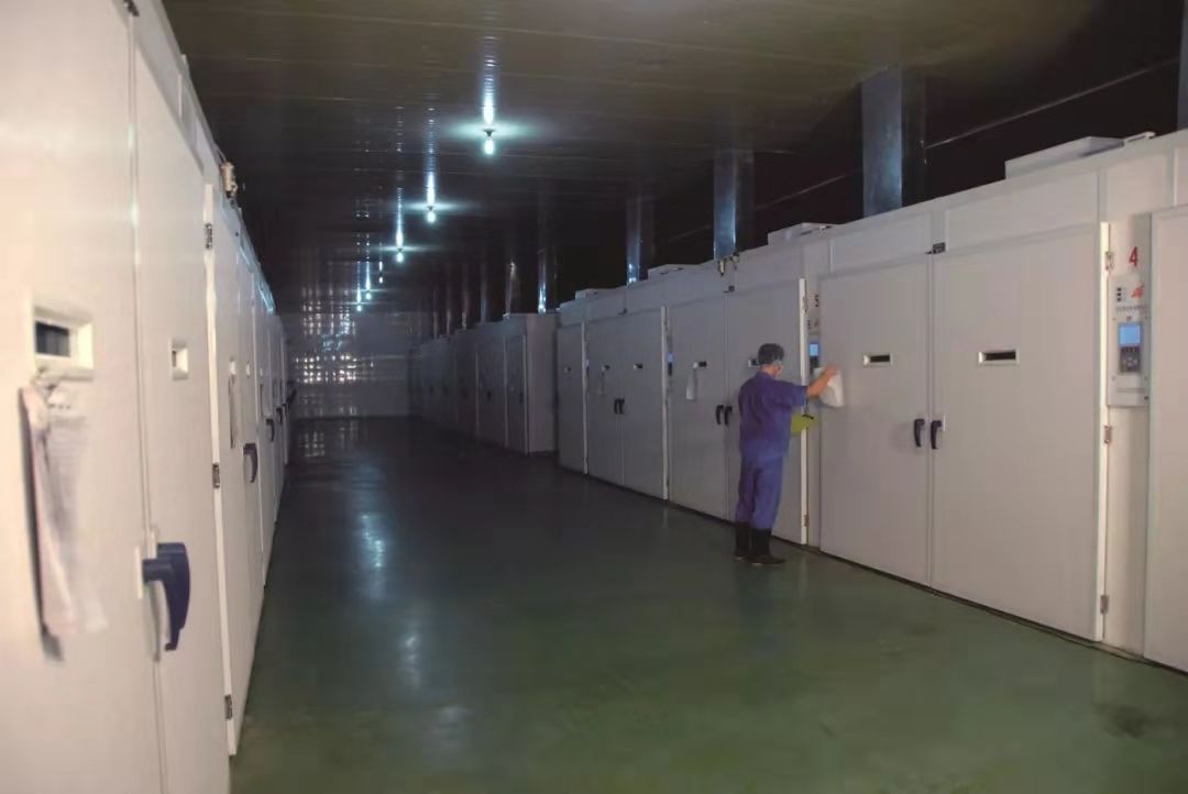 PP电子·(中国集团)最新官方网站