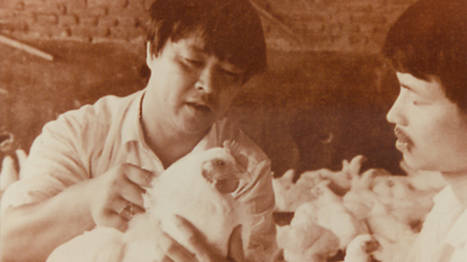 PP电子·(中国集团)最新官方网站