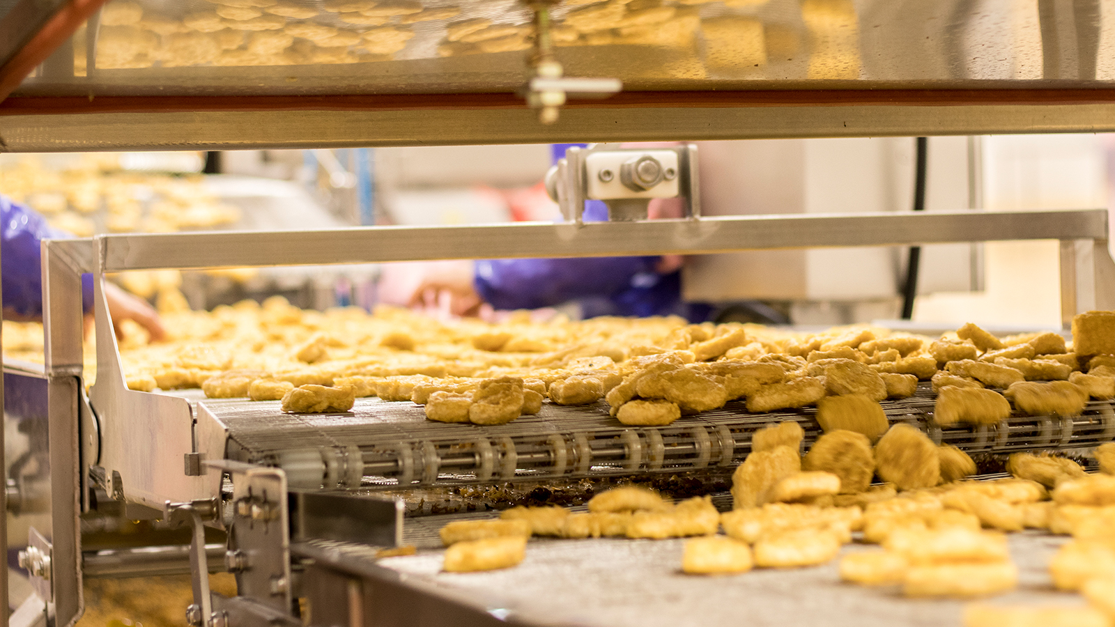 PP电子·(中国集团)最新官方网站