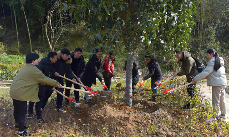 PP电子·(中国集团)最新官方网站