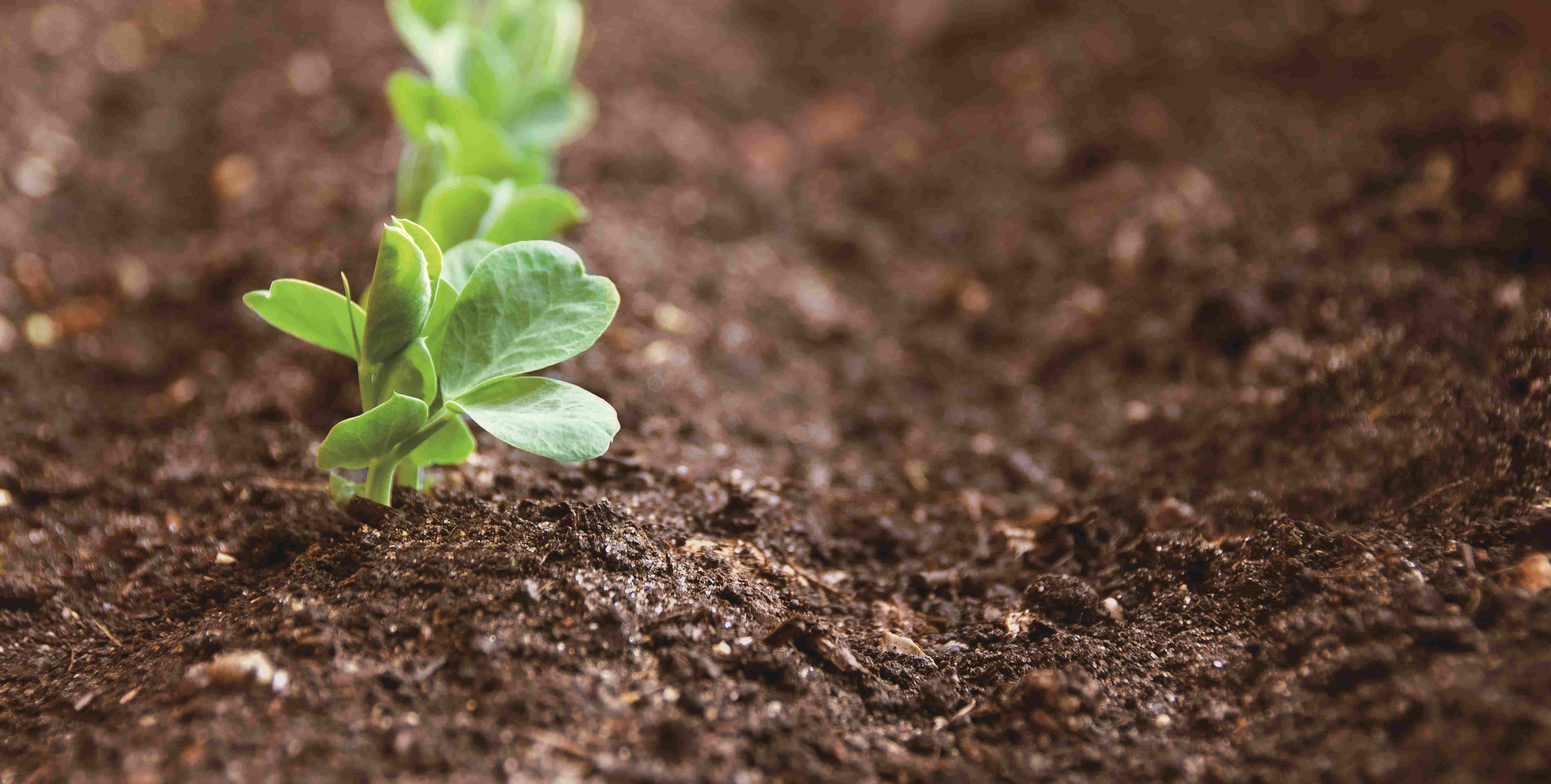 PP电子·(中国集团)最新官方网站