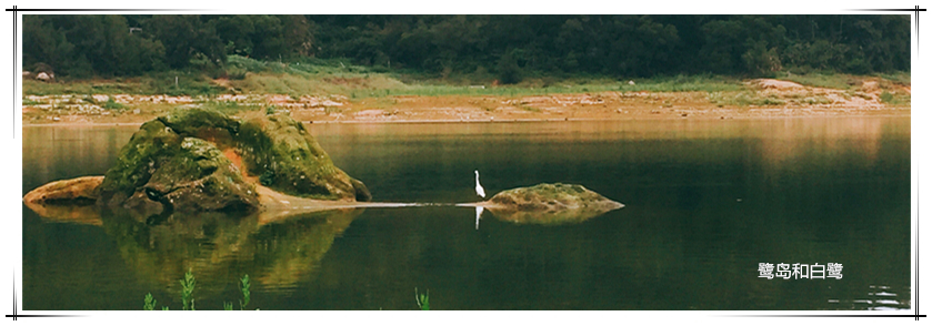 PP电子·(中国集团)最新官方网站