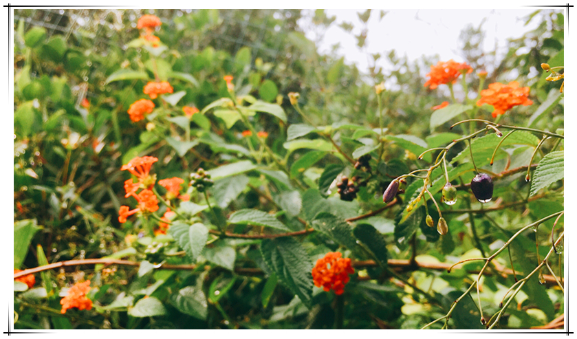 PP电子·(中国集团)最新官方网站