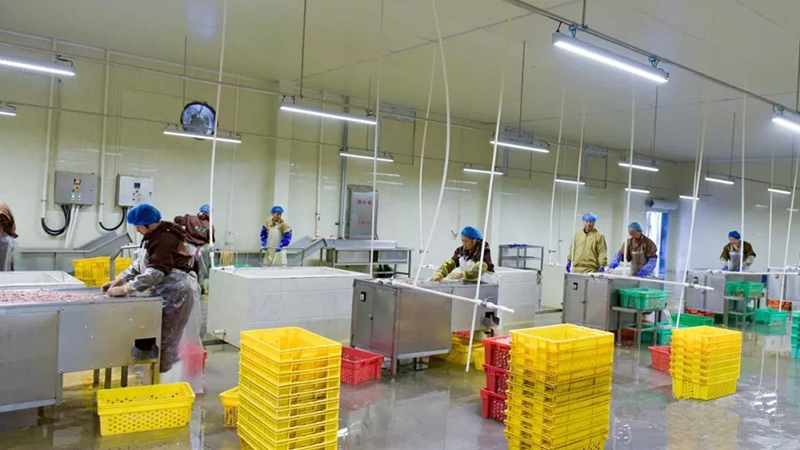 PP电子·(中国集团)最新官方网站