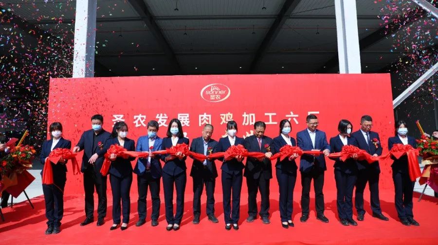 PP电子·(中国集团)最新官方网站