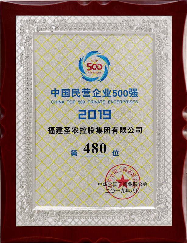 2019（pp电子集团）中国民营企业500强