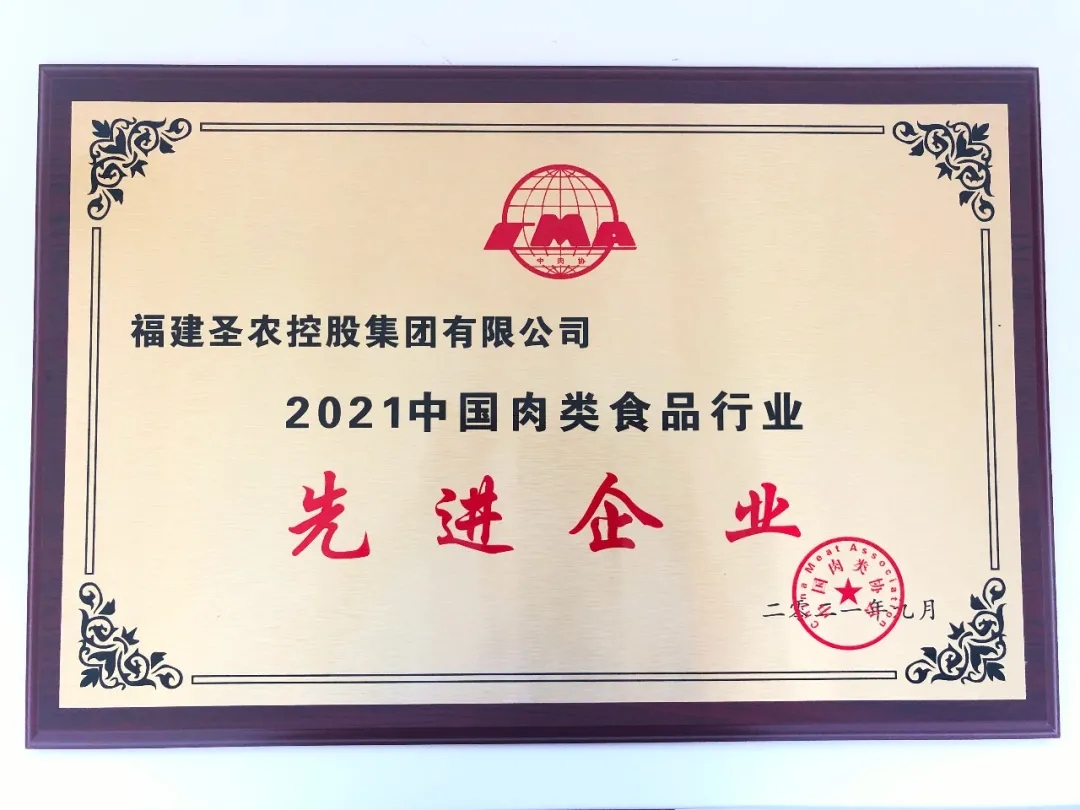 2021（pp电子集团）中国肉类食物行业先进企业