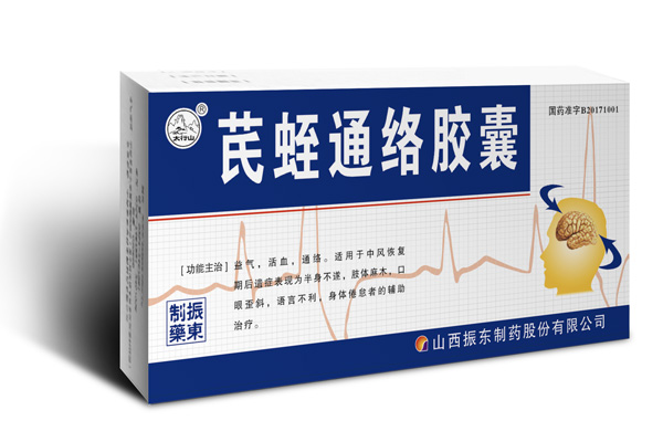 大奖国际制药,芪蛭通络胶囊