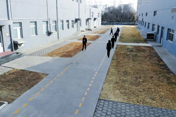 大奖国际制药厂区斑马线：两人成行，三人成列