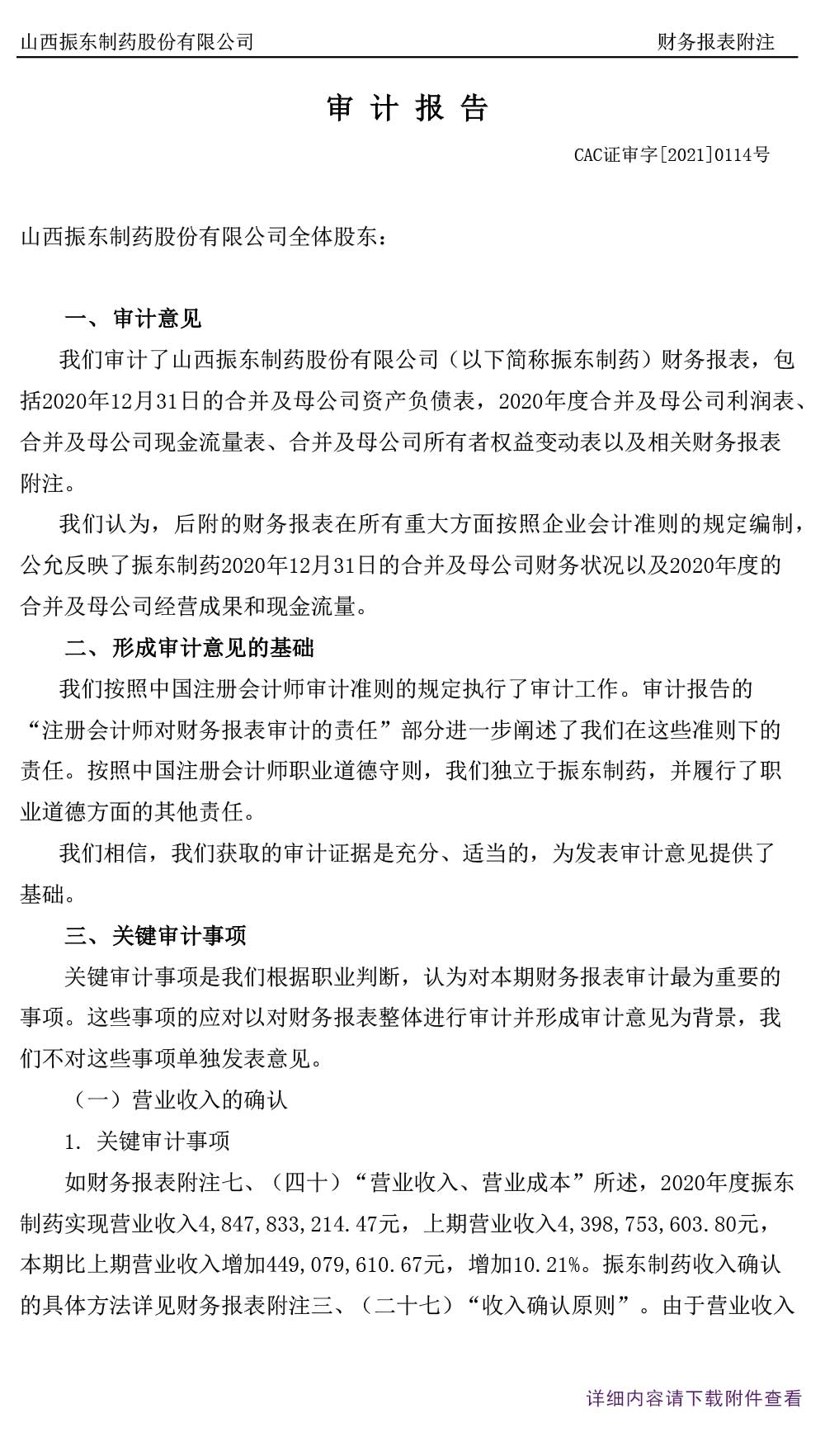大奖国际制药,大奖国际,300158,年度审计报告