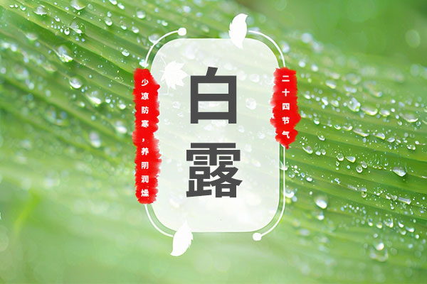 大奖国际·18dj18(中国)官方网站