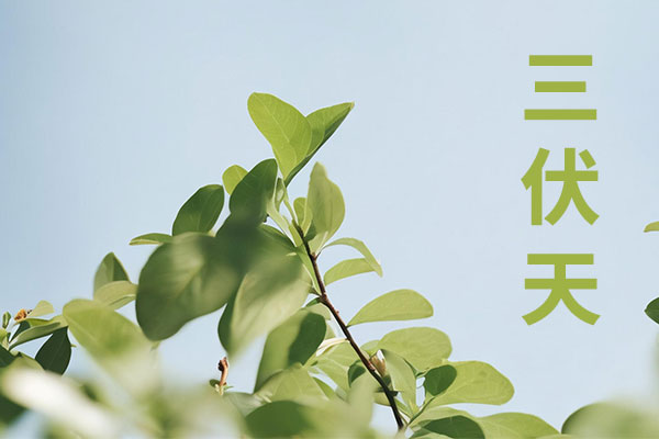 大奖国际·18dj18(中国)官方网站