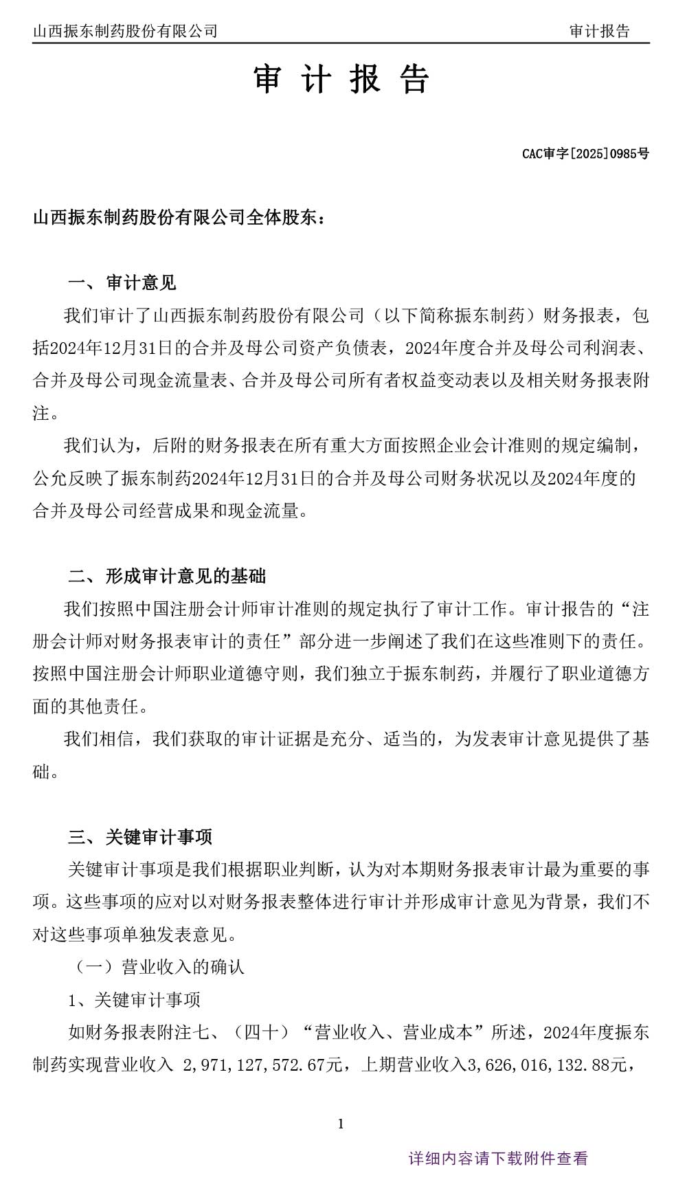 大奖国际制药,大奖国际,300158,年度审计报告