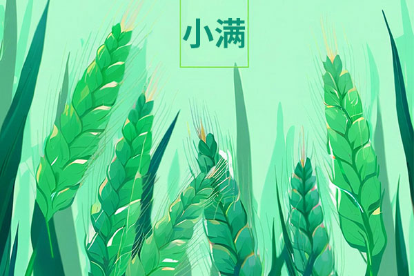 大奖国际·18dj18(中国)官方网站
